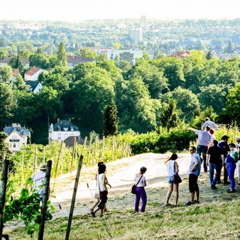 Weinerlebnis auf dem Neroberg