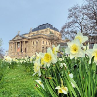 Blumen im Vordergrund, das Theater im Hintergrund