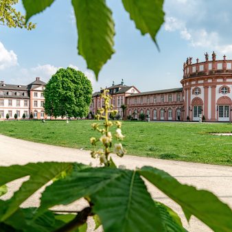 Schloss Biebrich