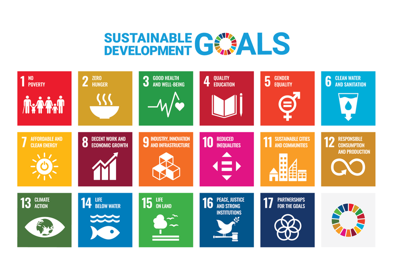 SDG poster overview
