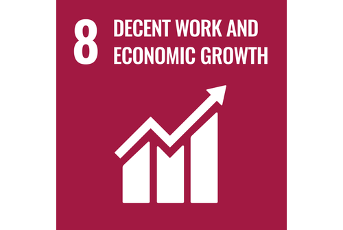 SDG 8