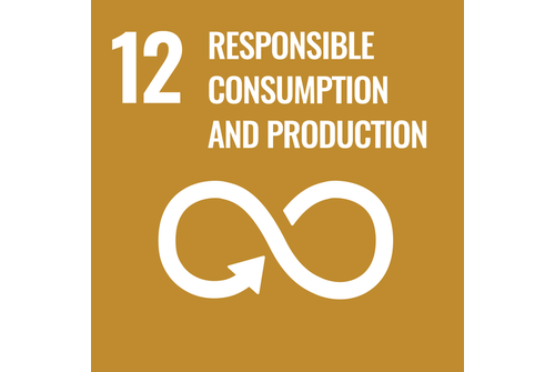 SDG 12