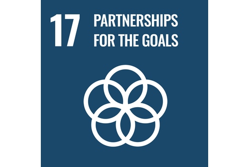 SDG 17